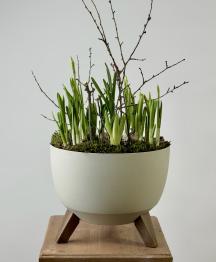 Весенняя композиция