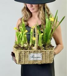 Композиция с нарциссами