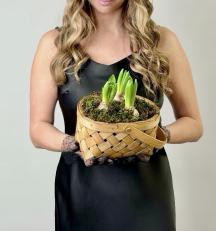 Композиция из гиацинтов