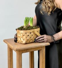 Композиция из гиацинтов