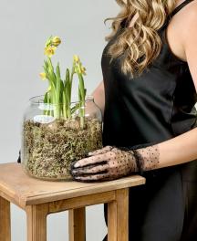 Композиция из нарциссов